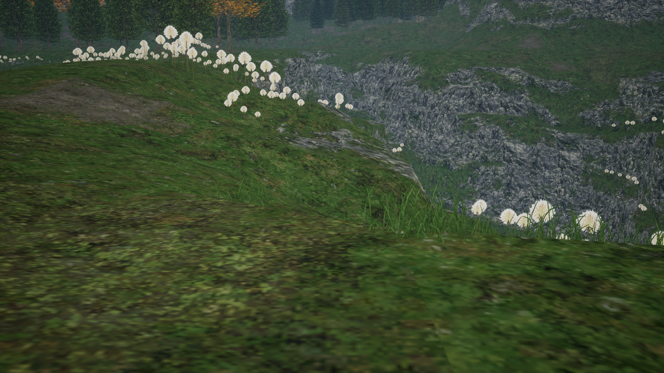 A close development view of grass, flowers and the rocky bank in La Theine
