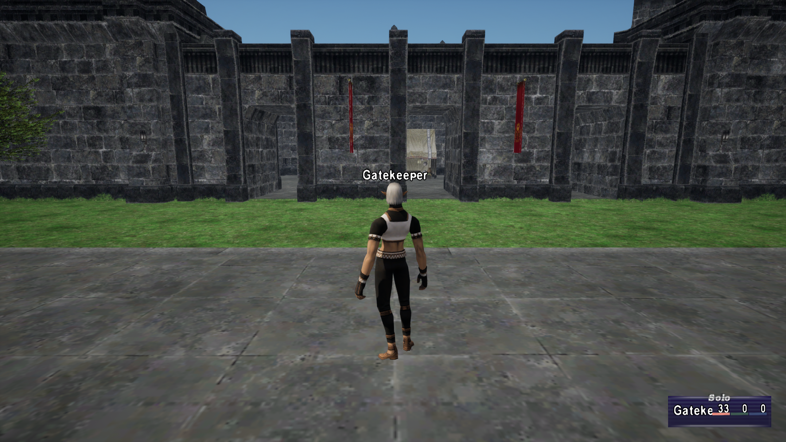 An Elvaan test character standing outside a stone gateway in San d’Oria, with the solo status display visible