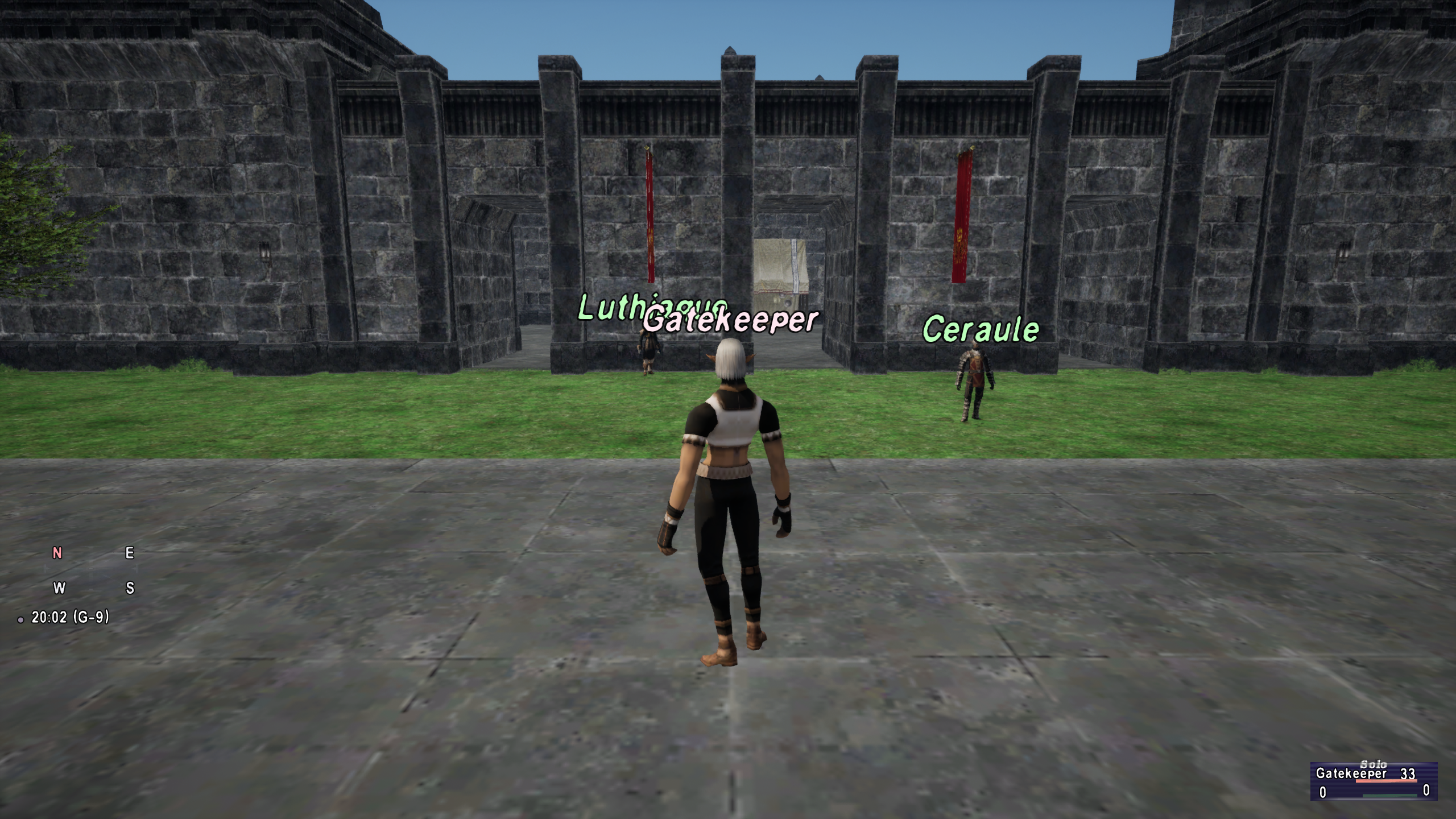 An Elvaan character stands on a stone path facing San d'Oria's fortified gate, with two named NPCs, red banners and the current game interface.